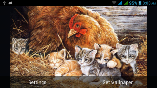 Cute Cats Live Wallpapers screenshot 4