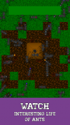 Ant Evolution - ant colony simulator strategy game screenshot 0