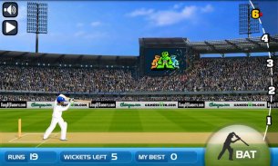 Turbo Cricket screenshot 2