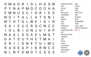 Word search screenshot 13