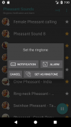 Appp.io - sons de faisan screenshot 0