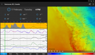 Flowx: Weather Map Forecast screenshot 14