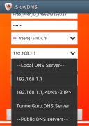 VPN Over DNS  Tunnel : SlowDNS screenshot 4