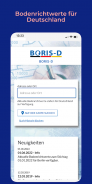 BORIS-D screenshot 6