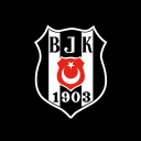 Beşiktaş JK Icon