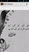 Urdu Shero Shayari screenshot 5