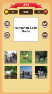 Horse Quiz screenshot 10
