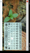 Gondi గోండ Keyboard Plugin screenshot 1