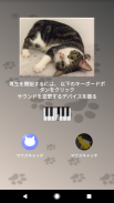 猫ピアノ screenshot 3