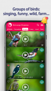 Păsări: Tonuri de apel screenshot 5