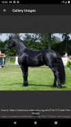 Horse breeds - Photos screenshot 1