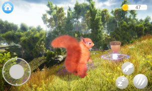 Talking Squirrel screenshot 3