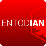 Entodian screenshot 2