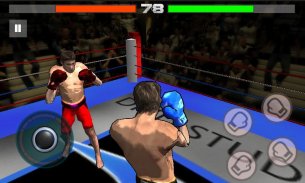 Boxing Night 3D screenshot 3