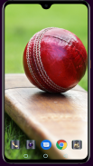 Cricket Bat Wallpaper screenshot 13