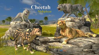 Cheetah Multiplayer screenshot 0