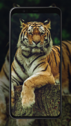 Tiger Wallpapers screenshot 3