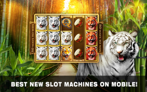 Slots Tiger King Casino Slots screenshot 1