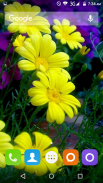 Colourful Flower Hd Wallpaper screenshot 1