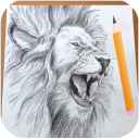 How to Draw Lion