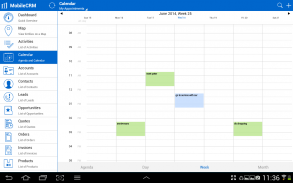 Resco Mobile CRM screenshot 2