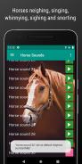 Horse Sounds and Ringtone free screenshot 2