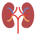 Chronic Kidney Disease (CKD)