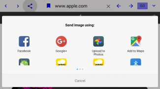 Dual Browser (FREE) screenshot 4