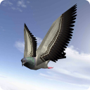 Kota Bird Fly Simulator 2015