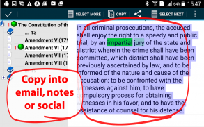 U.S. Constitution TurboSearch screenshot 4