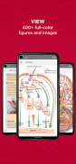 Anatomy & Physiology Made Easy screenshot 0