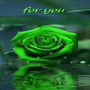 Green Shiny Rose LWP