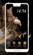 Eagle  Wallpaper screenshot 7