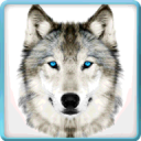 Final Wild Wolf Simulator