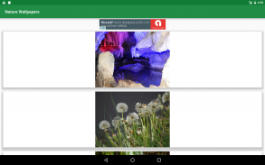 Nature Wallpapers screenshot 3