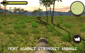 Rhino simulator screenshot 2