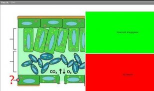 CoBa Биология screenshot 4