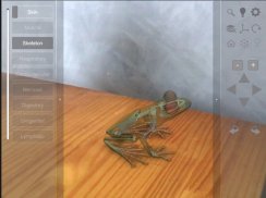 3D Frog Skeleton screenshot 9