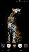 Cheetah Live Wallpaper screenshot 2