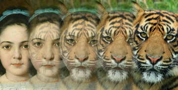 Zooface - GIF Animal Morph screenshot 0