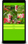 iPuzzle - Photo Puzzle Game screenshot 1