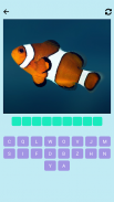 Guess the fish screenshot 2