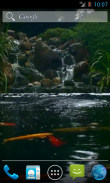 Real pond with Koi screenshot 2