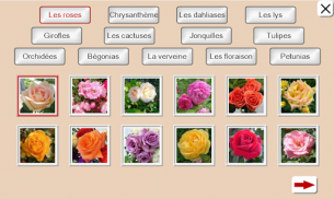 Devinez le Fleur: Puzzle de Tuiles screenshot 5