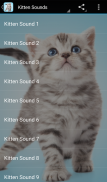 Kitten Sounds screenshot 0