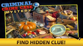 Criminal Case Hidden Object screenshot 4