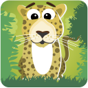 Puzzles: wild animals