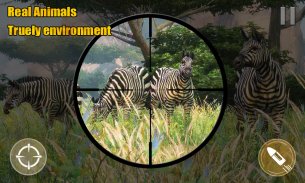 Wild Hunter Adventure screenshot 2