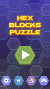 Hex Blocks Puzzle screenshot 0