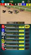 Pick Dog Racing screenshot 5